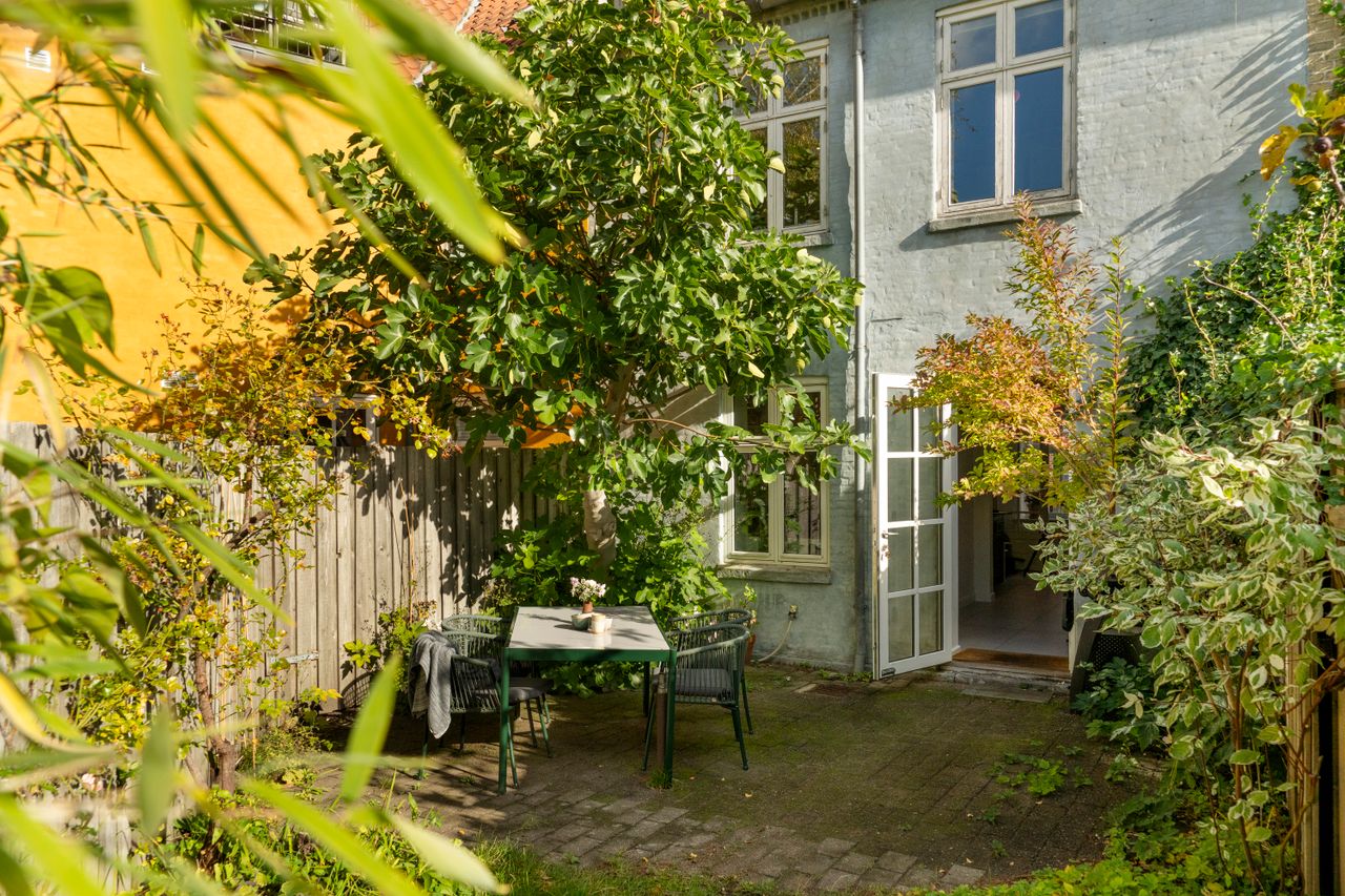 image 01